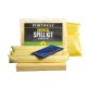 Kit de absorbtie substante chimice PW 50l, SM91