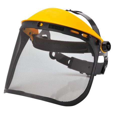 Viziera din Plasa, PW93