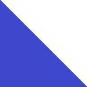 Albastru - Alb Check